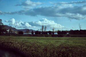 a field with trees and houses in the background